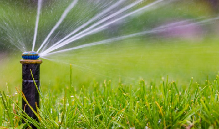 How to decide what length of sprinkler head to use