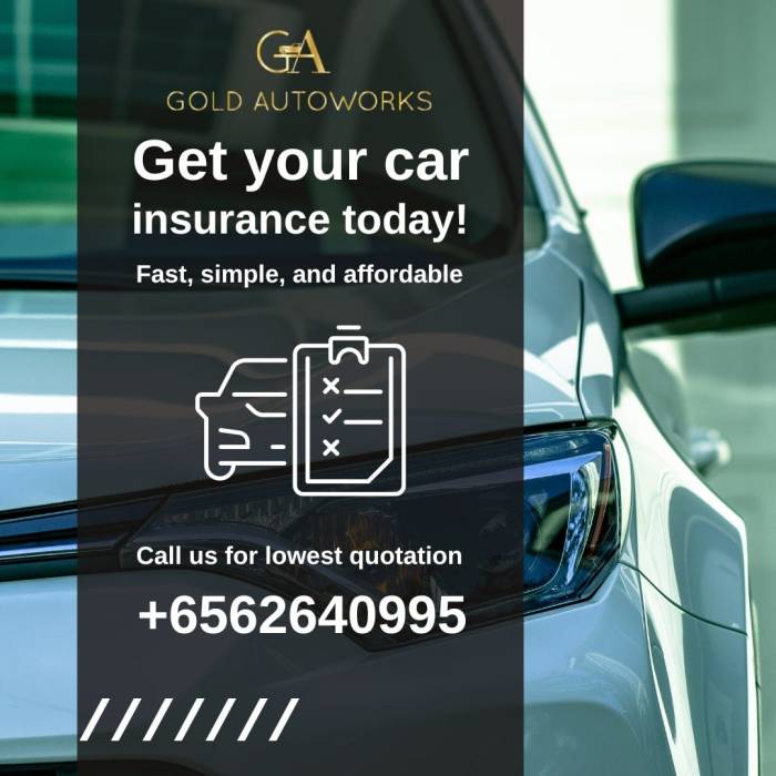 Government assistance for car insurance