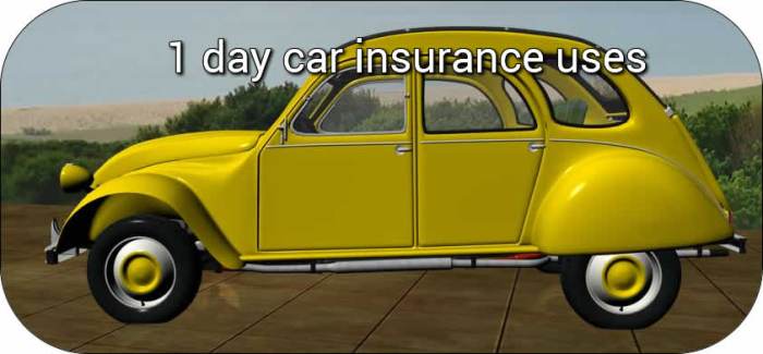 Insurance quotes car day rates pay lowest drivers deposit premium bad available opting consider situations when may here 1 dollar a day car insurance