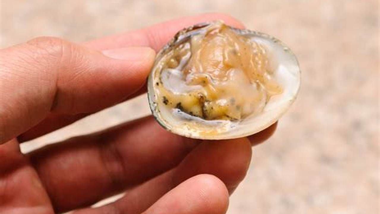 The Ultimate Guide to Shucking Clams: A Step-by-Step Breakdown