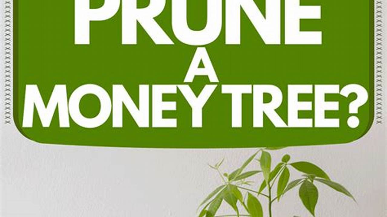 The Ultimate Guide: How to Properly Prune Your Money Tree for Abundance