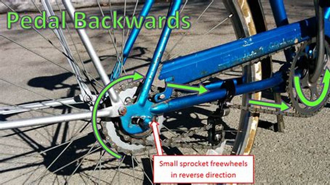 How To Make Bike Pedal Backwards