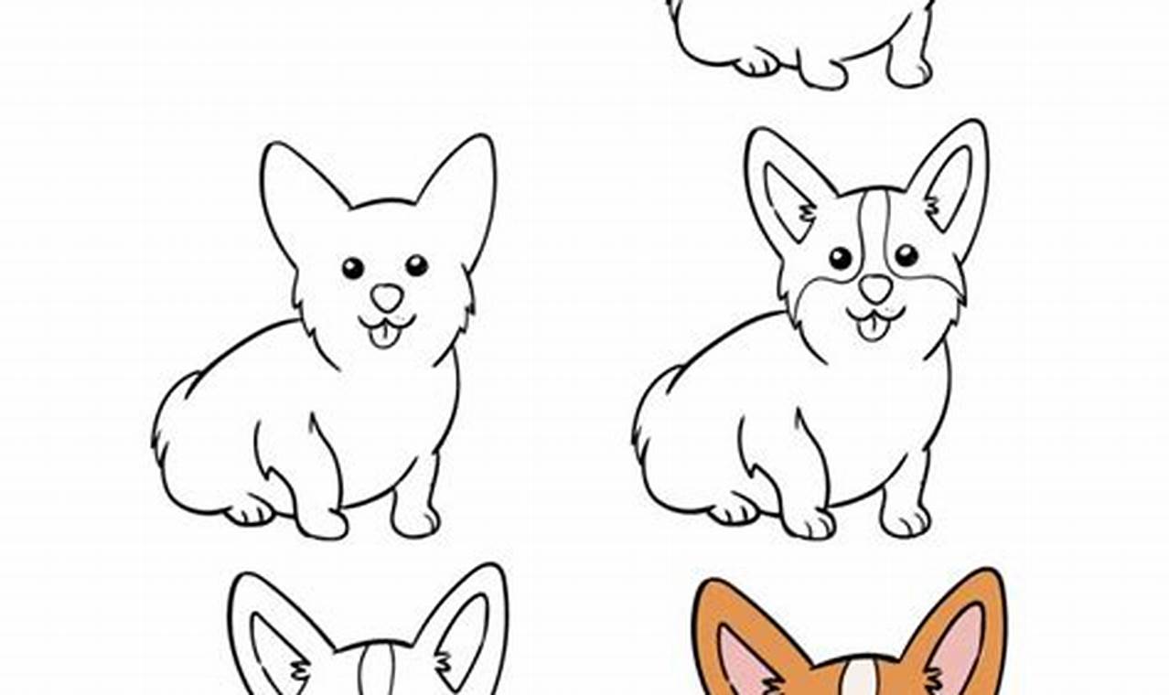 How To Draw A Corgi (Easy Step-by-Step Instructions)