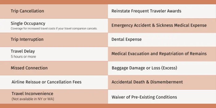 What to select for swiss care travel insurance