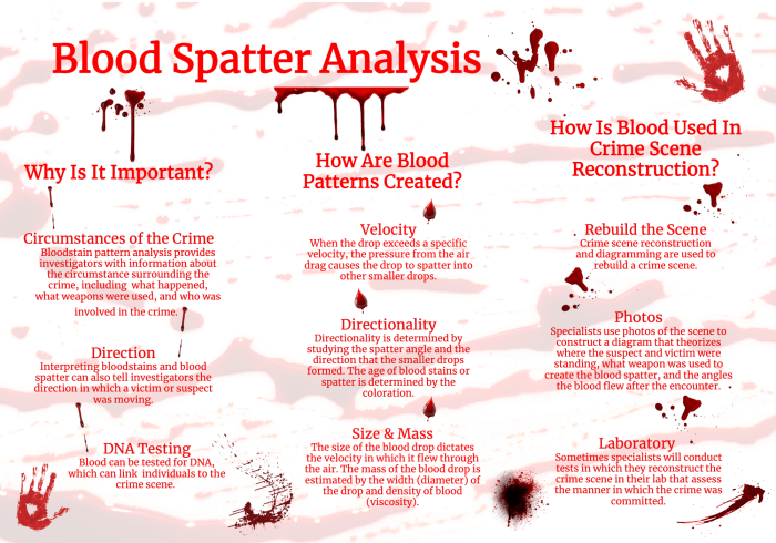 How to become a blood spatter analyst