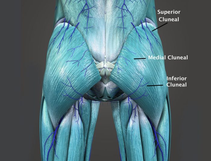 How to release cluneal nerve pain