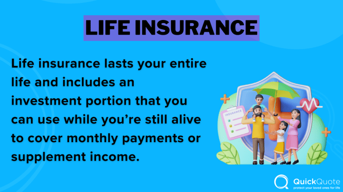 Car insurance for undocumented immigrants