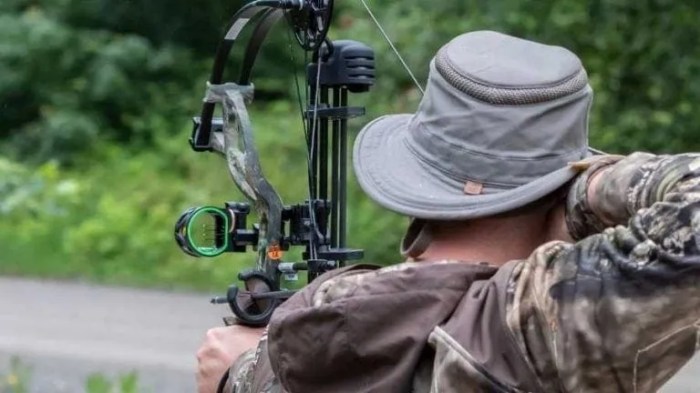 How A lot Does It Price to Restring a Compound Bow?