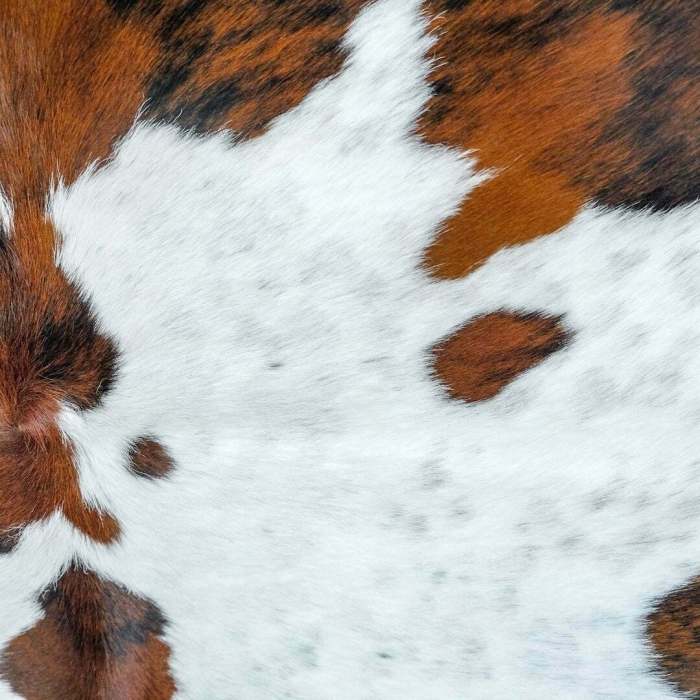 How to clean cowhide rug