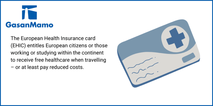 Which insurers offer 180 car insurance european cover