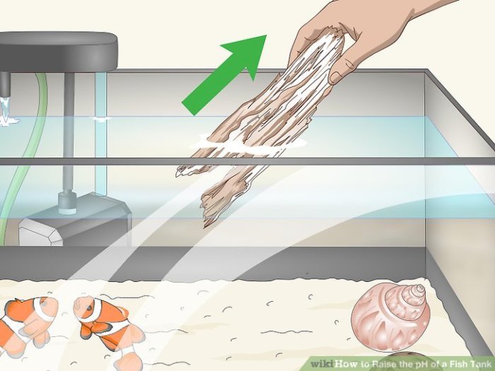 How to raise ph in reef tank