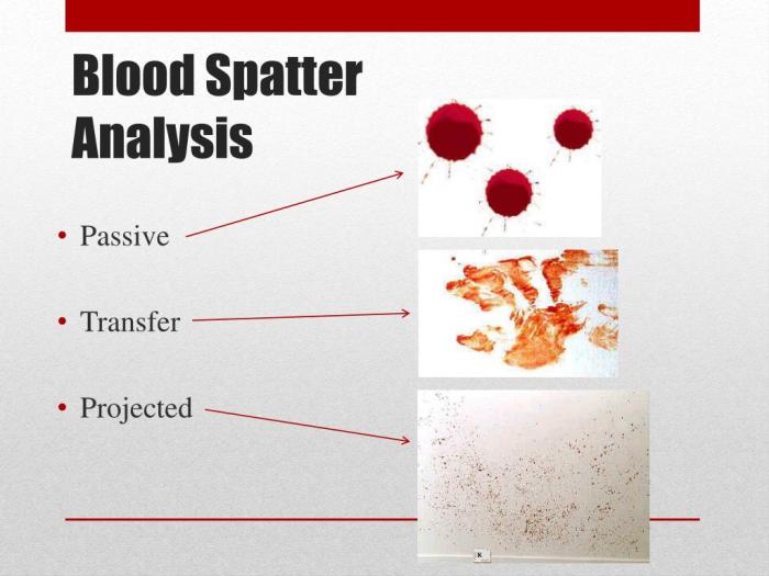 How to become a blood spatter analyst