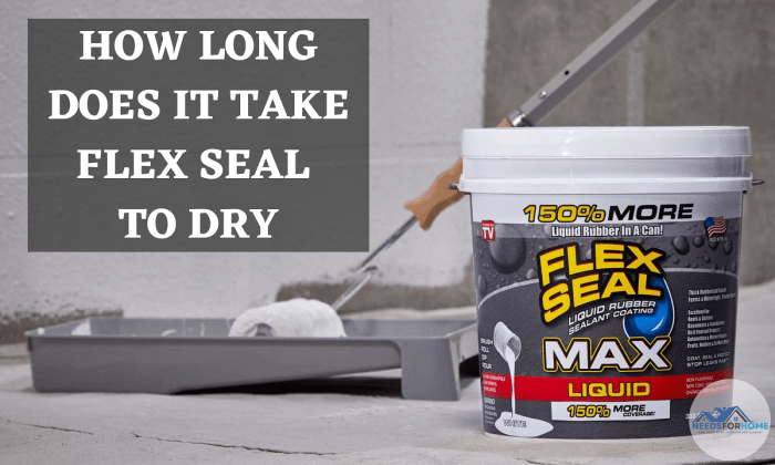 How long does it take for seal coat to dry