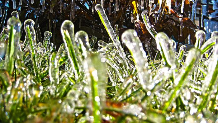A Frosty Reception Find out how to Climb DDO Staircase