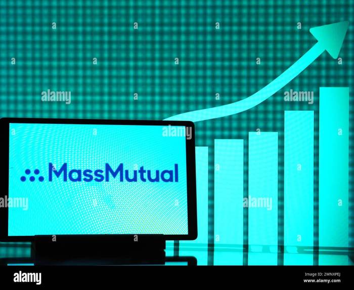 Mass mutual long term care insurance