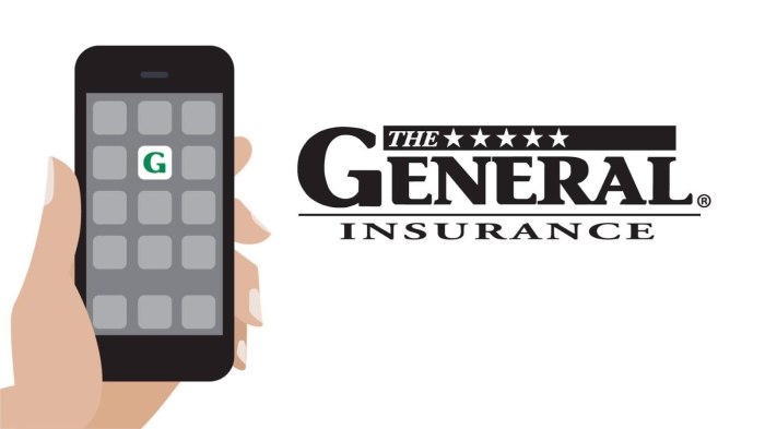 Toggle car insurance phone number
