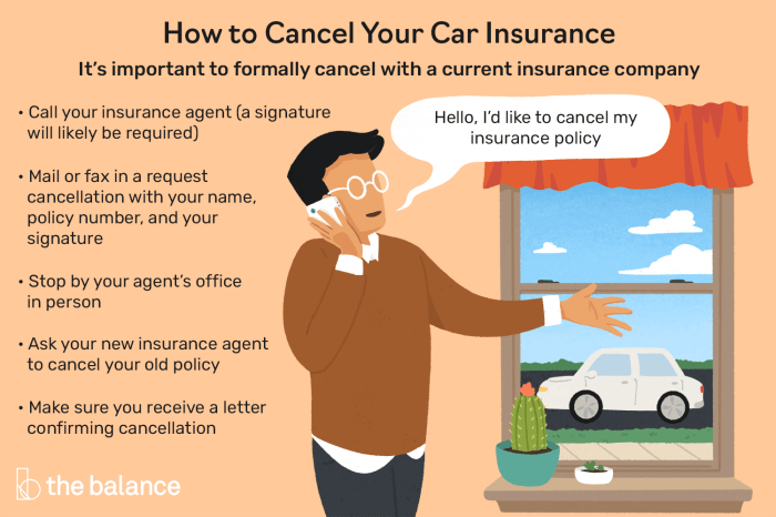 Examining sorn costs their Can you cancel a car insurance claim