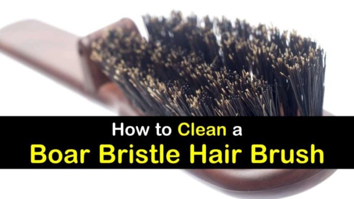 How to clean a boars hair brush