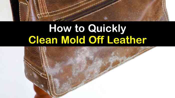 How to clean moldy leather