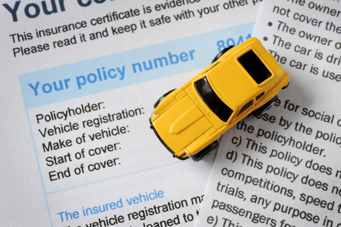 How can you find out if someone has car insurance
