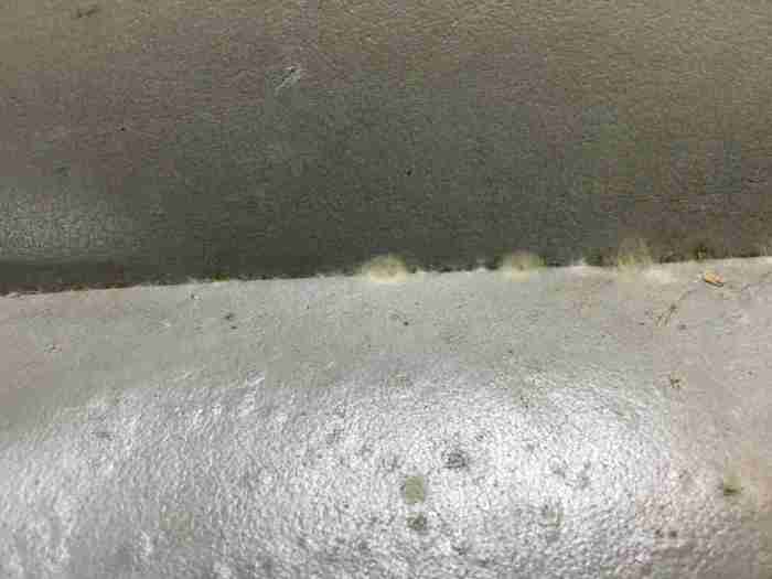 Clean mildew tipsbulletin How to remove mold from a car interior