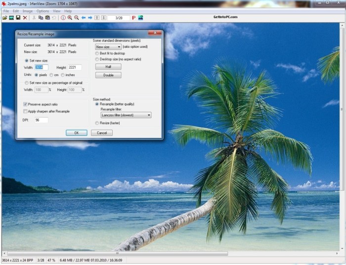 Irfanview toolbox editing How to do basic editing in irfanview