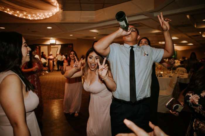 Drunk ounces levels safely affects How much wine to drink to get drunk