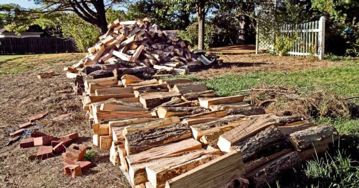 How long does it take wood to dry
