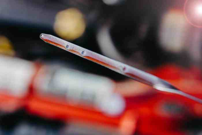How much transmission fluid to add