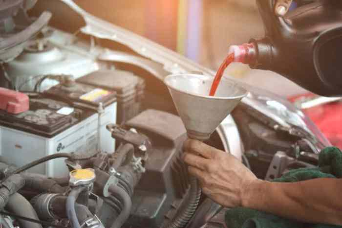 Transmission fluid many quarts car do add How much transmission fluid to add